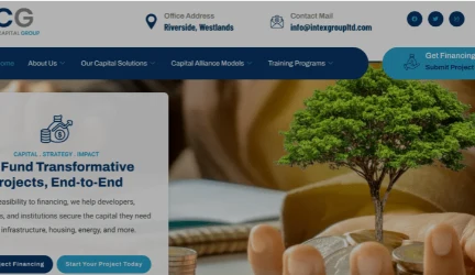 Intex Capital Group screenshot